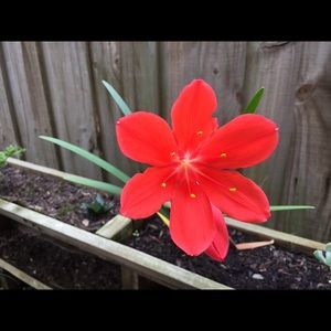 Meet your Posher, Nadine